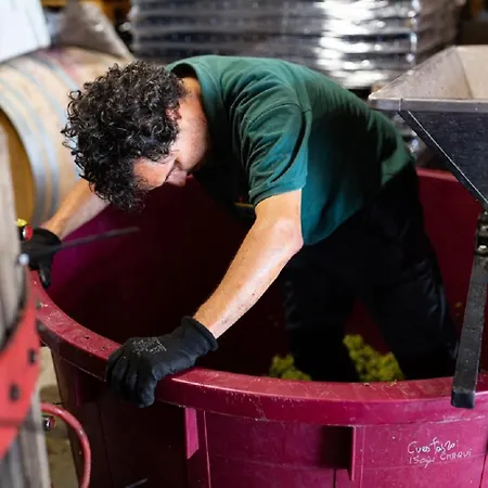 Beautiful Alamedas, Un Santuario Donde El Tiempo Se Detiene Castronuno