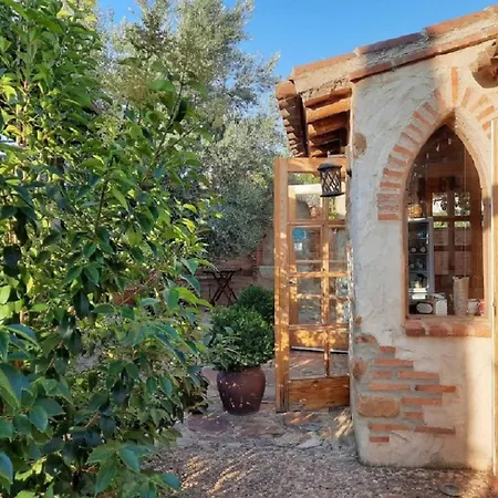 Beautiful Alamedas, Un Santuario Donde El Tiempo Se Detiene Castronuno