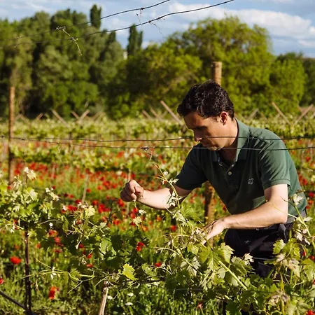 Landsted Beautiful Alamedas, Un Santuario Donde El Tiempo Se Detiene *