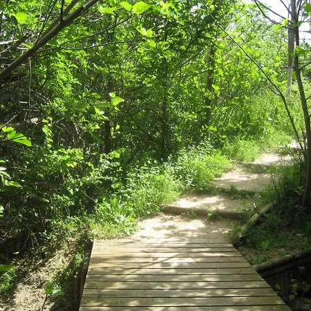 Beautiful Alamedas, Un Santuario Donde El Tiempo Se Detiene * Castronuno
