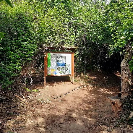 Séjour à la campagne Beautiful Alamedas - Con Historia Unica Castronuno