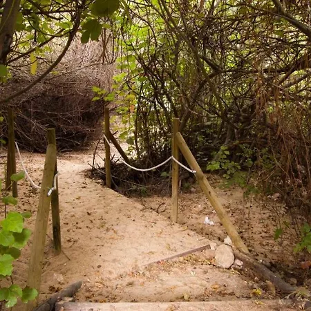 Beautiful Alamedas - El Arte De Descansar Entre Jardines Y Vinedos