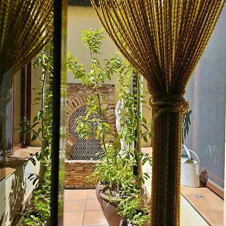 Beautiful Alamedas, Un Santuario Donde El Tiempo Se Detiene Castronuno