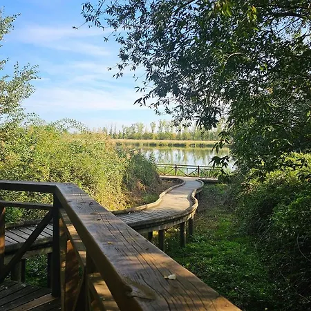 Beautiful Alamedas, Un Santuario Donde El Tiempo Se Detiene *