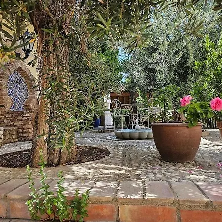 Beautiful Alamedas, Un Santuario Donde El Tiempo Se Detiene Castronuno