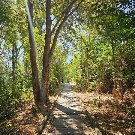 Beautiful Alamedas, Un Santuario Donde El Tiempo Se Detiene Landsted *