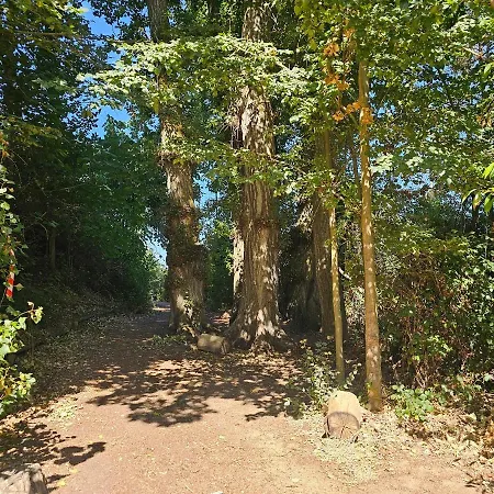 Beautiful Alamedas, Un Santuario Donde El Tiempo Se Detiene *