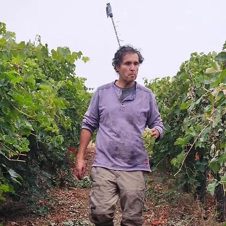 Beautiful Alamedas, Un Santuario Donde El Tiempo Se Detiene * Castronuño