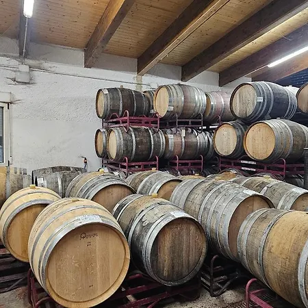 Beautiful Alamedas, Un Santuario Donde El Tiempo Se Detiene