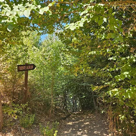 Beautiful Alamedas, Un Santuario Donde El Tiempo Se Detiene * Castronuno