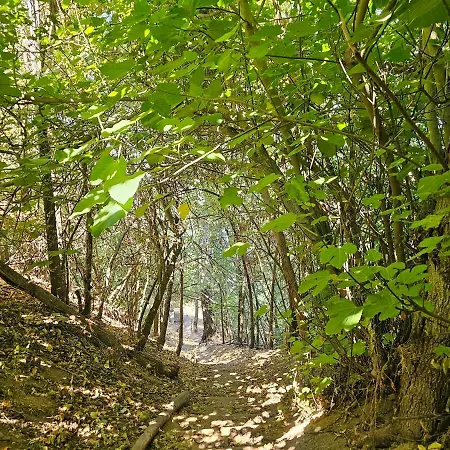 Beautiful Alamedas, Un Santuario Donde El Tiempo Se Detiene