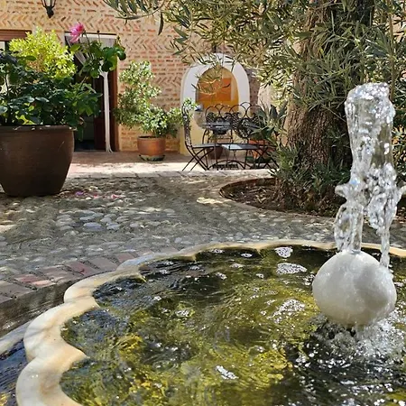 Beautiful Alamedas, Con Jardin Y Alberca Familias Y Grupos Country house