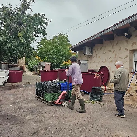 Country house Beautiful Alamedas, Con Jardin Y Alberca Familias Y Grupos *